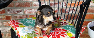  photo doggy_zps4141112e.jpg